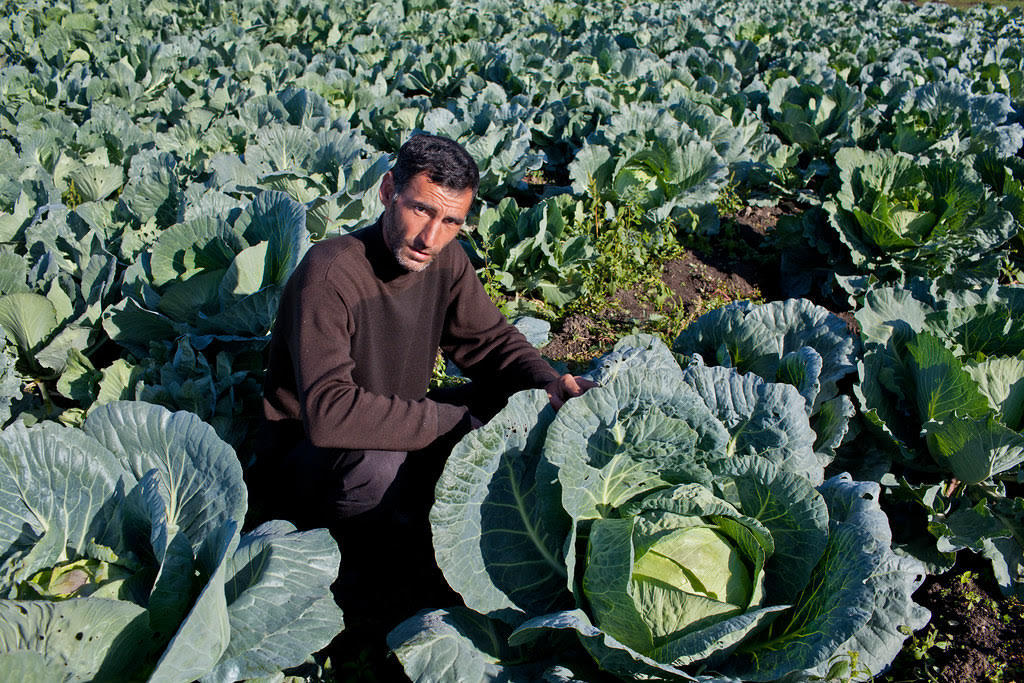 Land Reform in the Caucasus Region and the Relationship to Developments of Post-Soviet Grievance